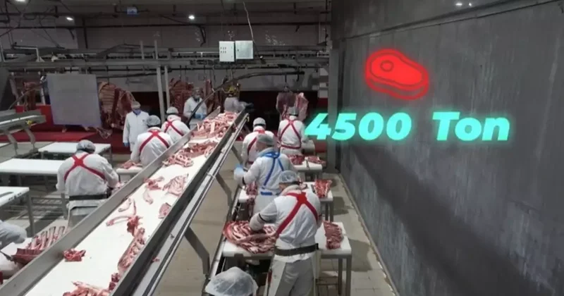 Bakan Yumaklı: 4 bin 500 ton kırmızı et üretimi ile Elazığ’ın tarımsal ve ekonomik potansiyeline güçlü bir katkı sağlayacağız