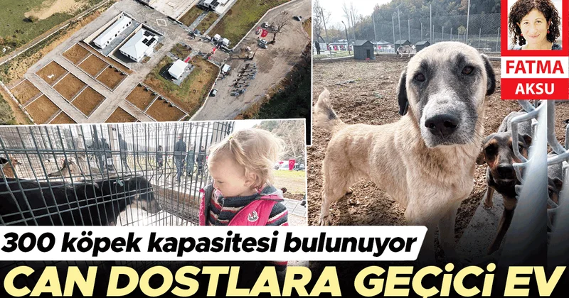 Can dostlara örnek barınak