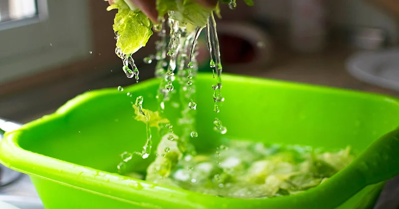 Meğer marulu sirkeyle yıkamak bakterileri çoğaltıyormuş Sözcü Gazetesi