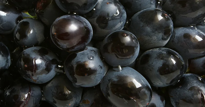 Sultanlara layık meyve yılbaşında kapış kapış gidiyor: Herkes masanın altında yiyor Sözcü Gazetesi