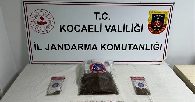 Apartman dairesinde 1 kilo 287 gram bonzai ele geçirildi Kocaeli Haberleri