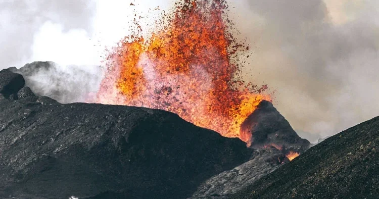 Korkunç salgının gizemi çözüldü