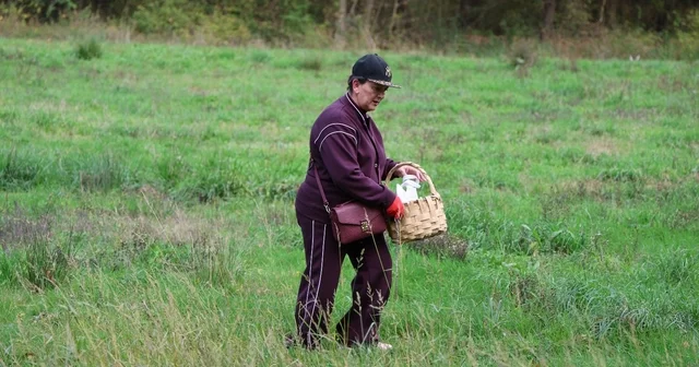 Doğaseverler Ormanya nın zengin biyolojik çeşitliliğini keşfetti Kocaeli Haberleri