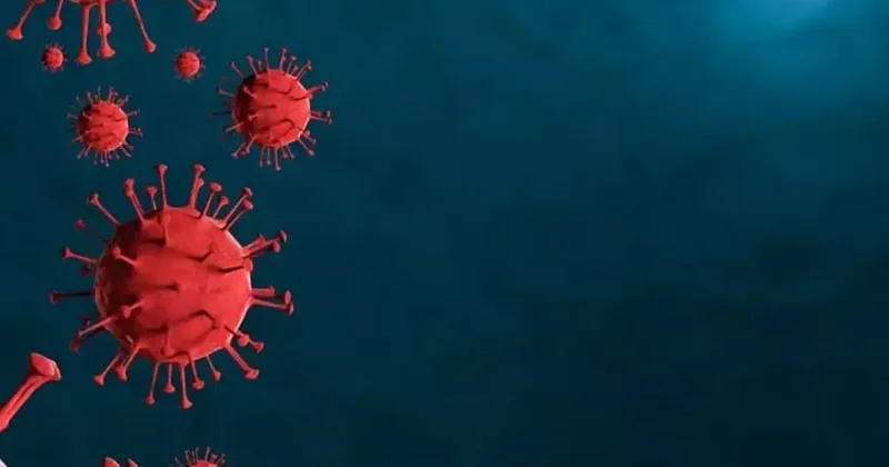 Kırgızistan da alarm, hızla yayılan virüs eğitimi felç etti