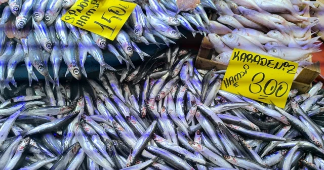 Havaların soğumasıyla balık tezgahlarında alışverişler hızlandı Afyonkarahisar Haberleri