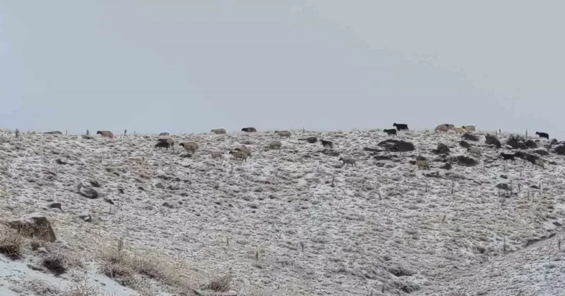 Van’da kış yüzünü gösterdi: Erek Dağı ve çevresi beyaza büründü