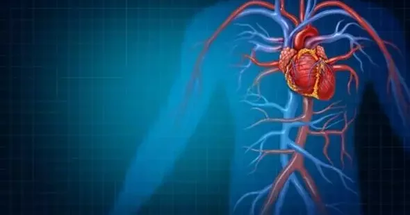 Kalp ve damar sağlığı için uzmanlarından öneriler