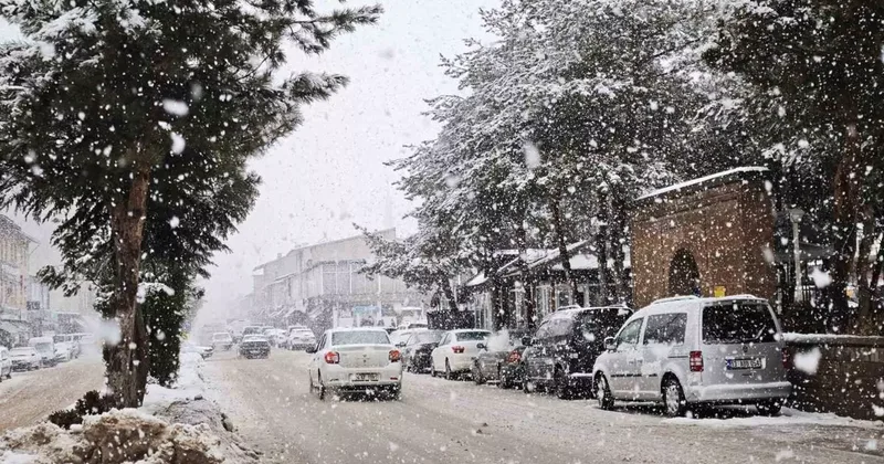 Ahlat’ta yoğun kar yağışı
