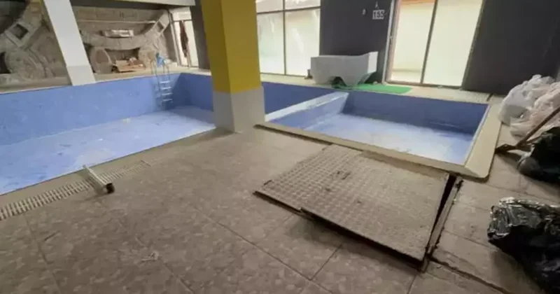 Tokat ta kan donduran cinayet: Babasını öldürerek havuz deposuna gömdü!