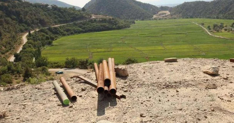 Kolin Tosya da pirinci de bitirecek!