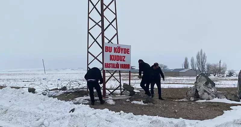 Adilcevaz da kuduz vakası tespit edilen köy, karantinaya alındı