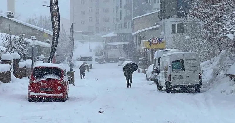 Karlıova’da kar yağışı başladı