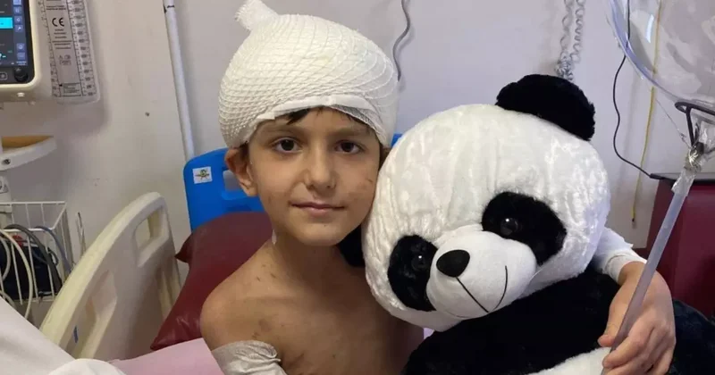 20 köpeğin saldırısına uğramıştı! 5 milyon lira tazminat ödenecek: ABB den talep edeceğiz