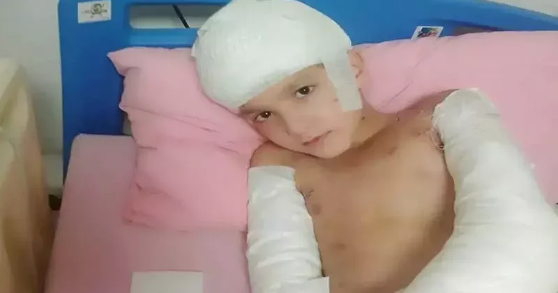 Sokak köpeklerinin saldırısında yaralanan Tunahan ın ailesine, 5 milyon TL manevi tazminat ödenecek