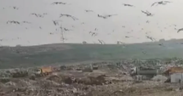 Bursa Büyükşehir Belediyesi ne milyonluk çevre cezası: Vahşi depolama tespit edildi VİDEO İZLE