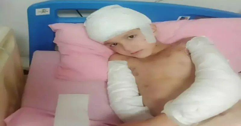 Tunahan’ın davasında emsal niteliğinde karar: Sokak köpeği saldırısında görülmemiş tazminat