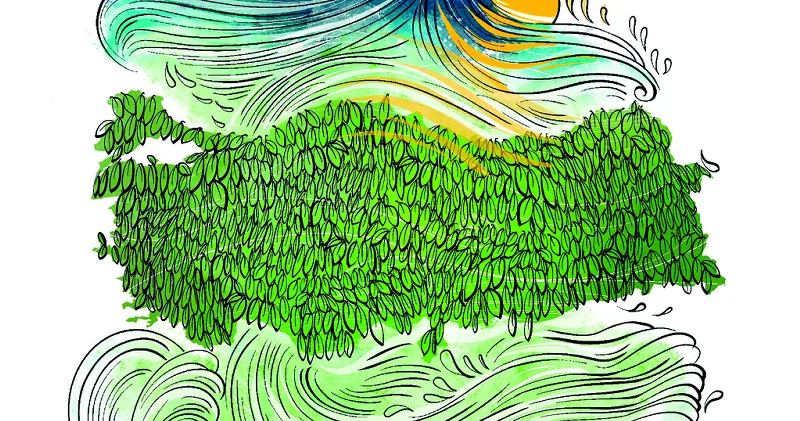 Türkiye’nin COP31 Başkanlığı: Geleceğin iklim hikayesi Türkiye’de yazılacak Düşünce Günlüğü Haberleri
