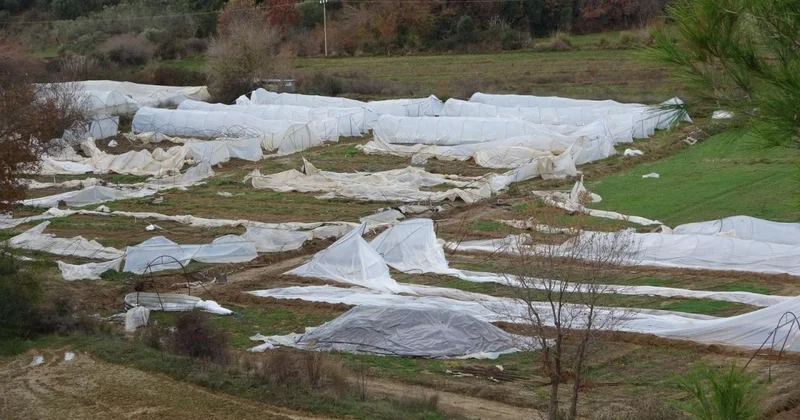 Manavgat ta hortum 14 serayı kullanılamaz hale getirdi