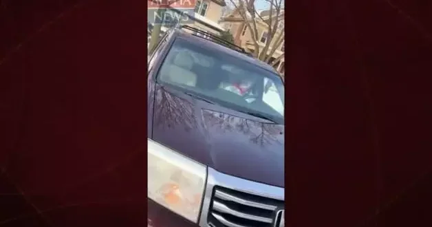 ABD de ICE polislerinin bir kadını vurmasına ilişkin yeni görüntüler ortaya çıktı