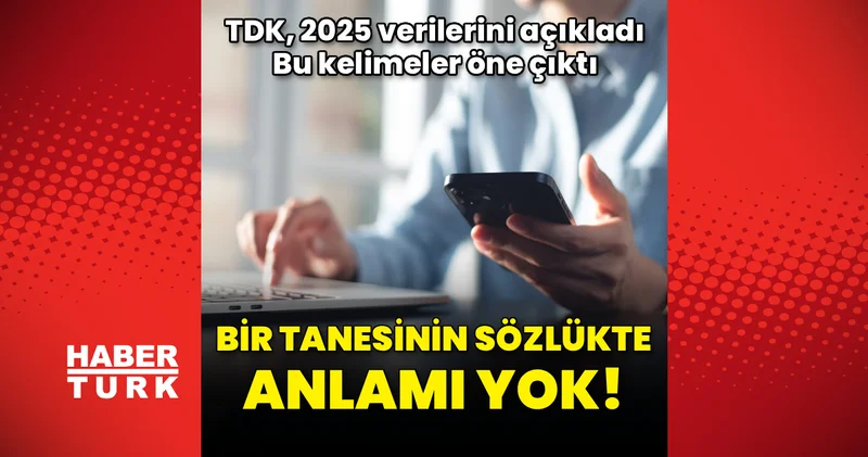 TDK, 2025 verilerini paylaştı... Bu kelimeler öne çıktı! Bir tanesinin sözlükte anlamı yok