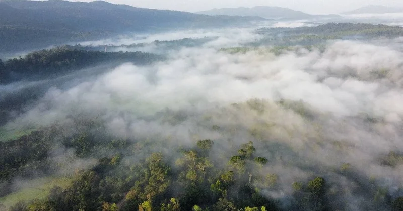 4 mevsimi tarih oluyor: İki yeni mevsim daha ortaya çıktı Sözcü Gazetesi