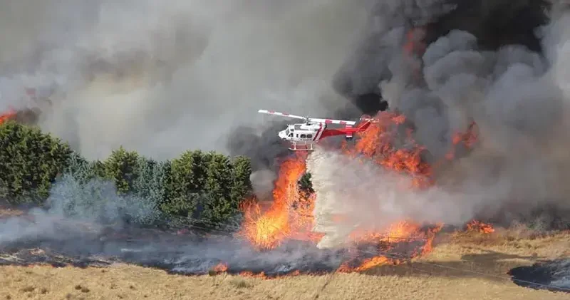 Avustralya da orman yangınları devam ediyor