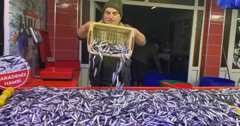Tezgahlarda hamsi bolluğu: Kilosu 250 TL