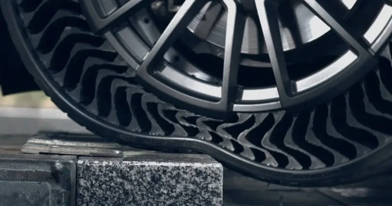 Gizemli balık ölümlerinin arkasında otomobil lastik şirketleri mi var? Dev dava sürüyor!