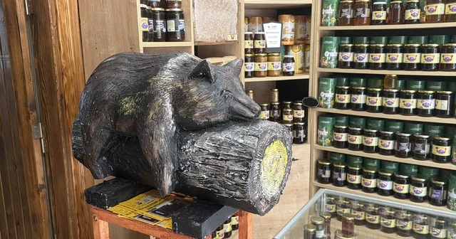 Viral olan ayı, satışları katladı: Balcı dükkanının başköşesine bayılan ayı dekoru yerleşti Bayılan ayının ahşap dekorunu yaptırdı Düzce Haberleri