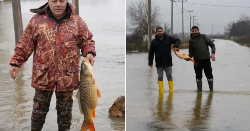 Tarlanın ortasından çıktı! Tartıda tam 7 kilo geldi