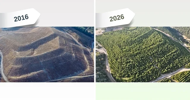 Maden sahaları rehabilitasyonla yeniden yeşeriyor İzmir Haberleri