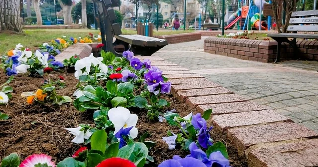 Efeler Belediyesi nden çiçek düzenlemesi Aydın Haberleri