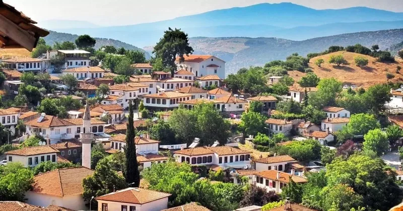 TÜİK verilerinde şaşırtıcı detay: Üç köyde yalnızca 1 kişi yaşıyor