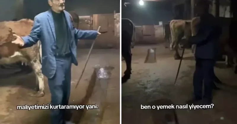 Hayvanlarına yem alamayan vatandaşın isyanı: Yemin ederim içim yanıyor