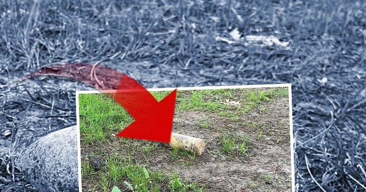 Toprağa gömülü bulup 10 gün evinde sakladı; müzeye götürünce alarm verildi