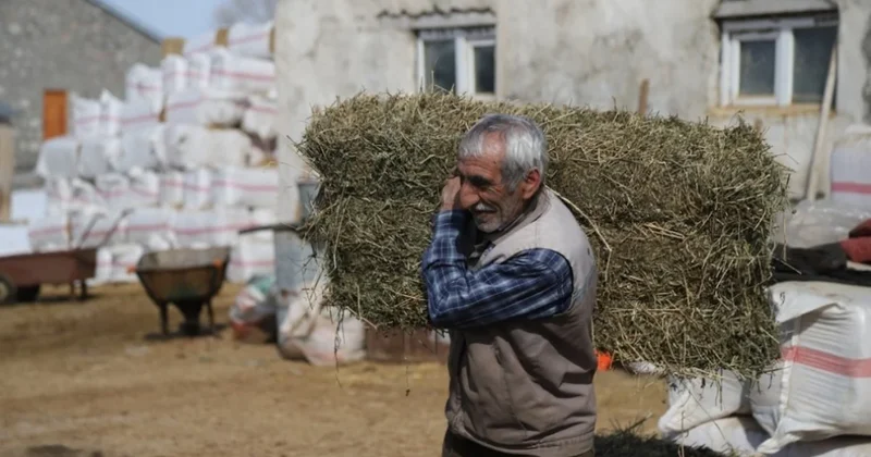 TÜİK açıkladı: Bu üç köyde sadece bir kişi yaşıyor Sözcü Gazetesi