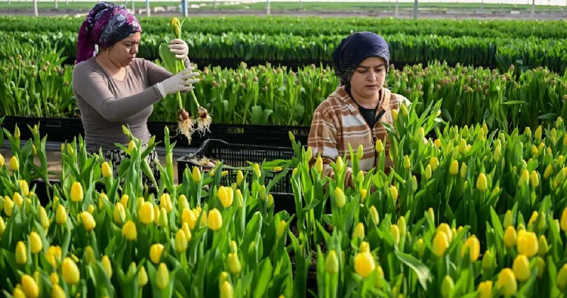 Su dolu kasalar içerisinde bekletiliyor: Türkiye nin dört bir yanına gönderiliyor