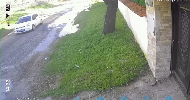 Köpeği çalınan vatandaştan hırsıza çağrı Muğla Haberleri