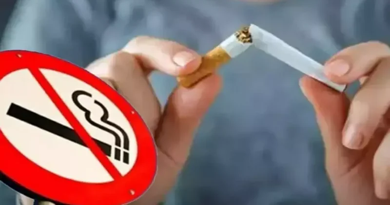 Sigara insanlığın en büyük salgını! Korkunç rakamlar