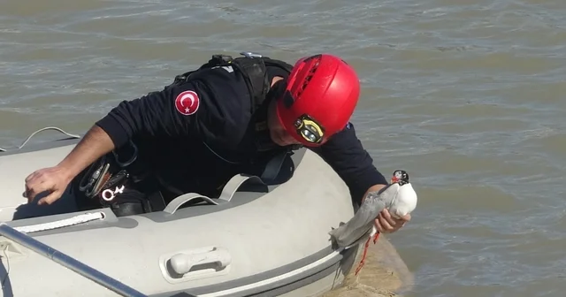 Antalya itfaiyesinden film gibi martı kurtarma operasyonu Misinalara dolanan martı 1 saatlik çalışmayla kurtarıldı Antalya Haberleri