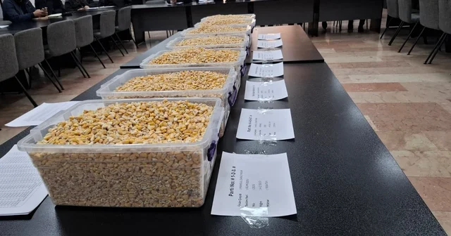 TİGEM in 13,5 bin tonluk mısır satışı GTB de gerçekleşti Gaziantep Haberleri