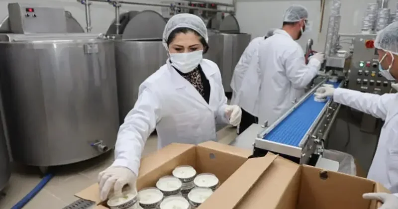 Kadın girişimci dondurmada kendi markasını oluşturdu