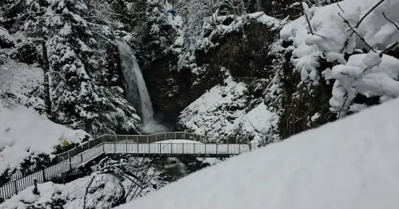 Rize de kar yağışı etkisini sürdürüyor!