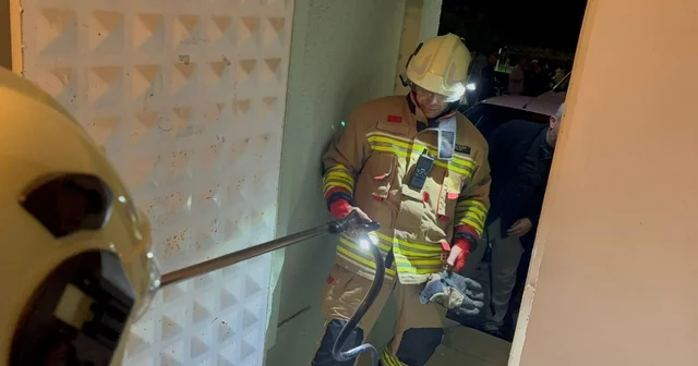 Camide görülen yılan yakalandı Hatay Haberleri