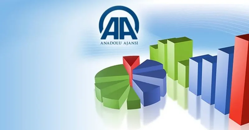 AA Finans Ödemeler Dengesi Beklenti Anketi sonuçlandı