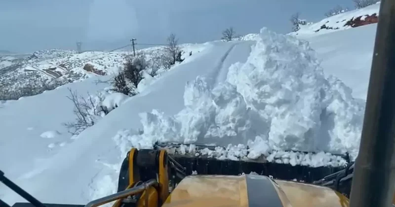 Siirt’te kardan kapanan 120 köy yolunun 105’i açıldı