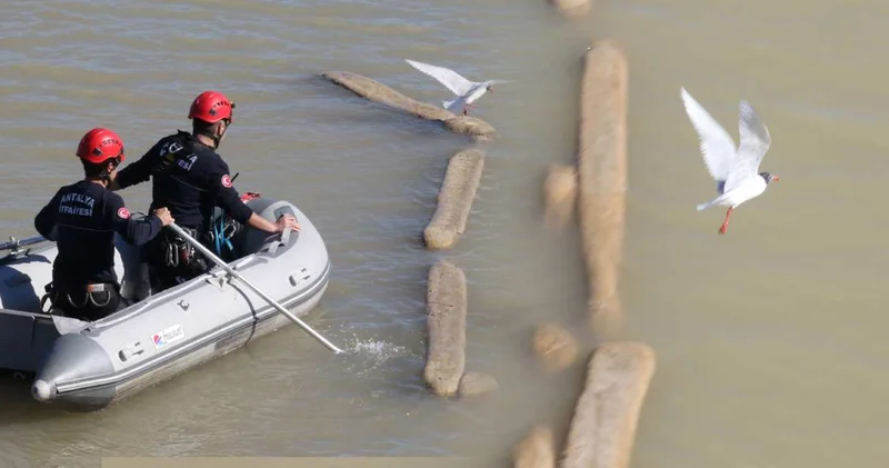 İtfaiyenin kurtardığı martı özgürlüğe uçtu!