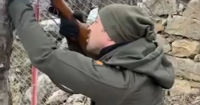 Ağaca takılan dronu tüfekle dala ateş ederek kurtardılar Gümüşhane Haberleri