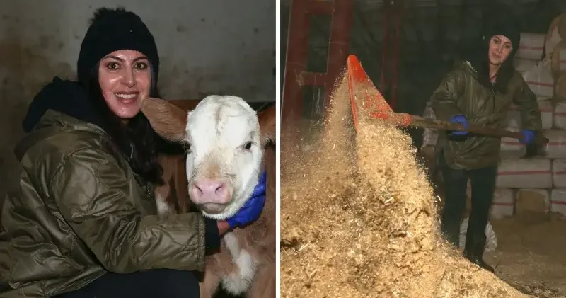 Devlet desteğiyle başladı: 3 yılda 200 başlık sürüye ulaştı Kars Haberleri