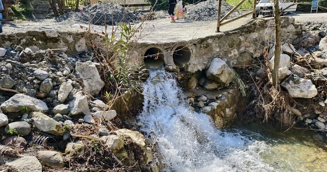 Mesir Tabiat Parkı na ziyaretçi akını Manisalılar doğayla buluşmak için Mesir de nefes alıyor Manisa Haberleri
